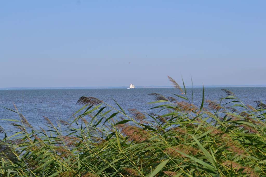 Bungalow Am Haff Grambin Екстериор снимка