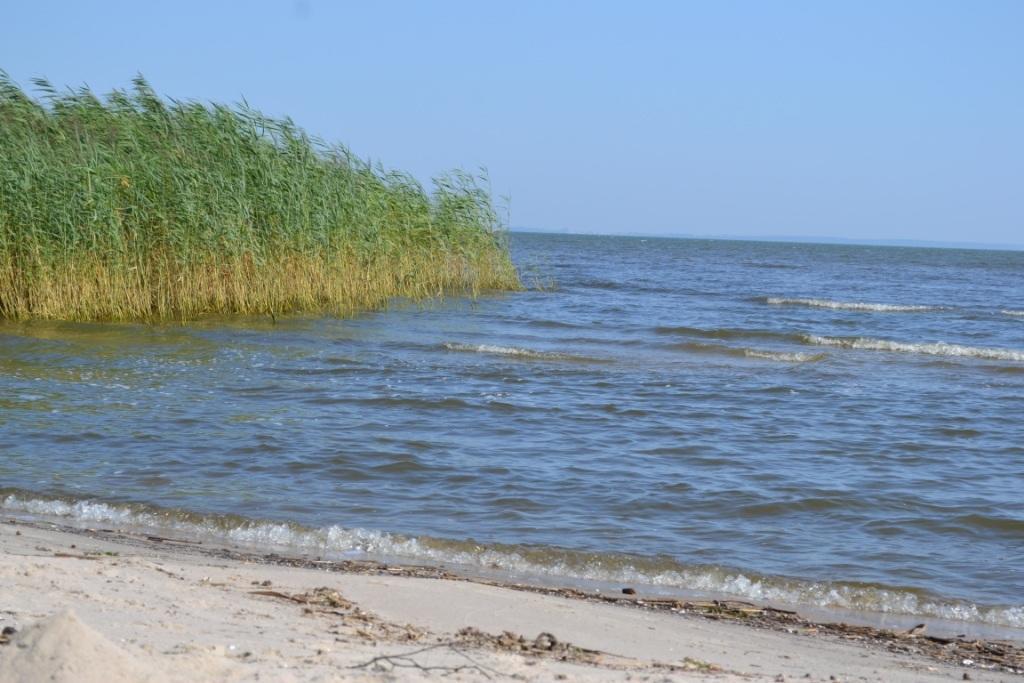 Bungalow Am Haff Grambin Екстериор снимка